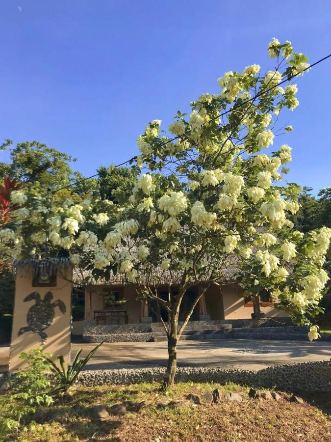 Urbanos Jungle Hostel 산타 카탈리나 외부 사진