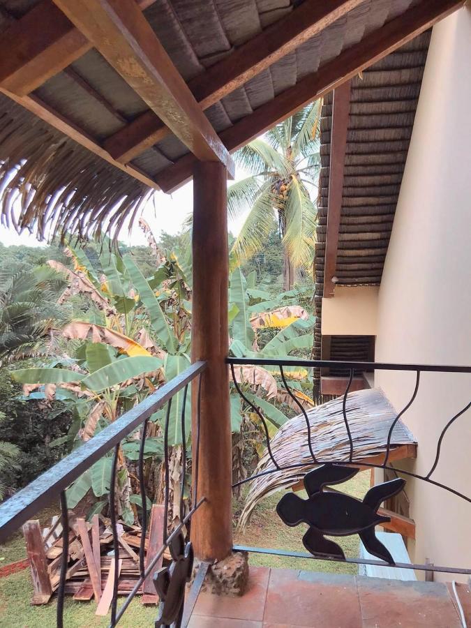 Urbanos Jungle Hostel 산타 카탈리나 외부 사진