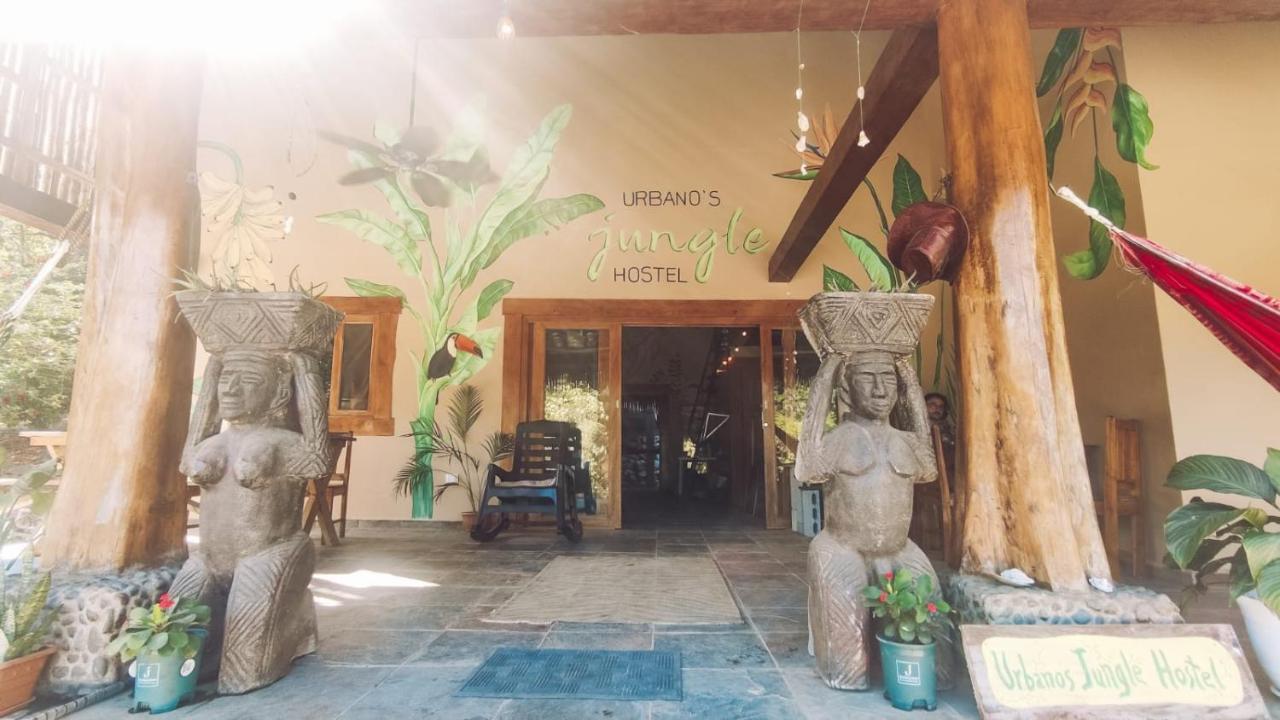 Urbanos Jungle Hostel 산타 카탈리나 외부 사진