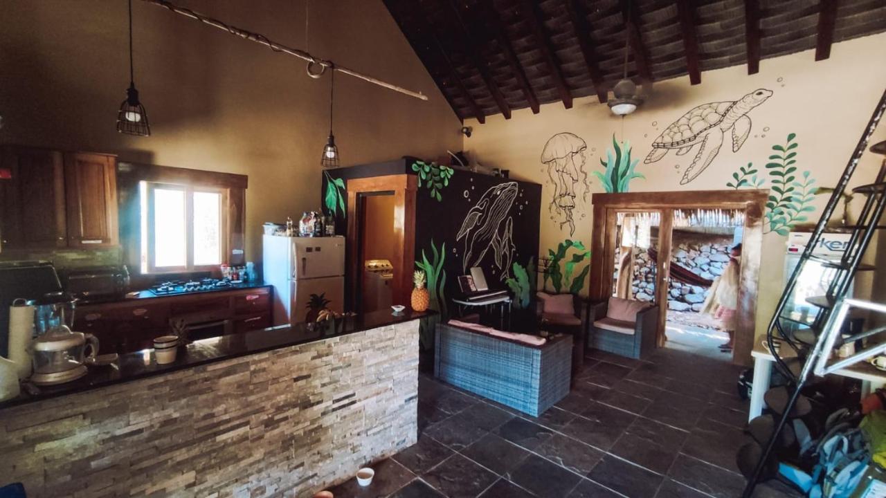 Urbanos Jungle Hostel 산타 카탈리나 외부 사진