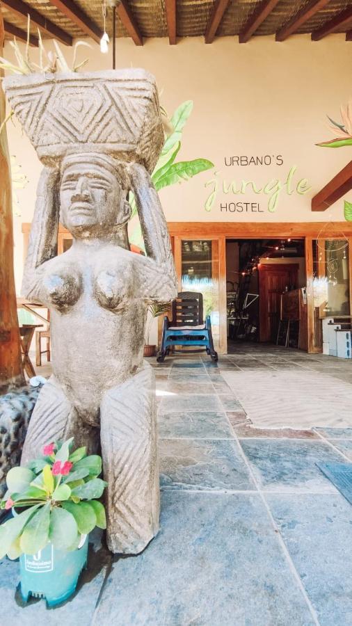 Urbanos Jungle Hostel 산타 카탈리나 외부 사진