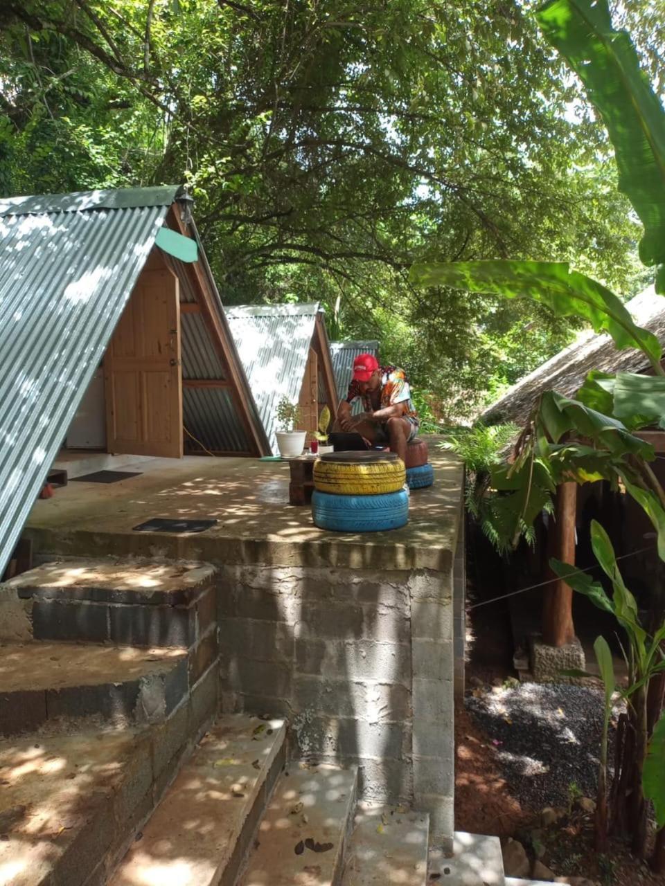 Urbanos Jungle Hostel 산타 카탈리나 외부 사진