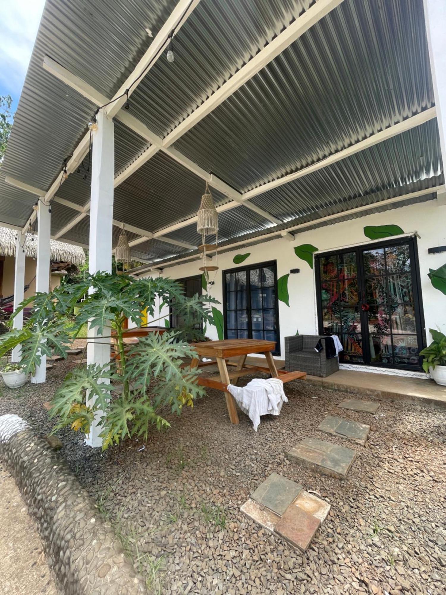 Urbanos Jungle Hostel 산타 카탈리나 외부 사진